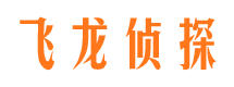 尖山飞龙私家侦探公司